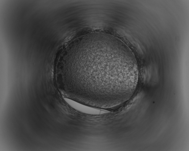 X0000088230916200705151450