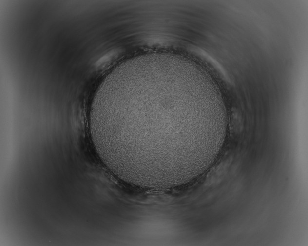 X0000088230918200705151450