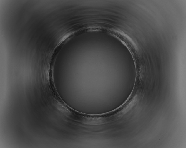 X0000088230921200705151450