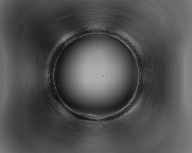 X0000088230922200705151450