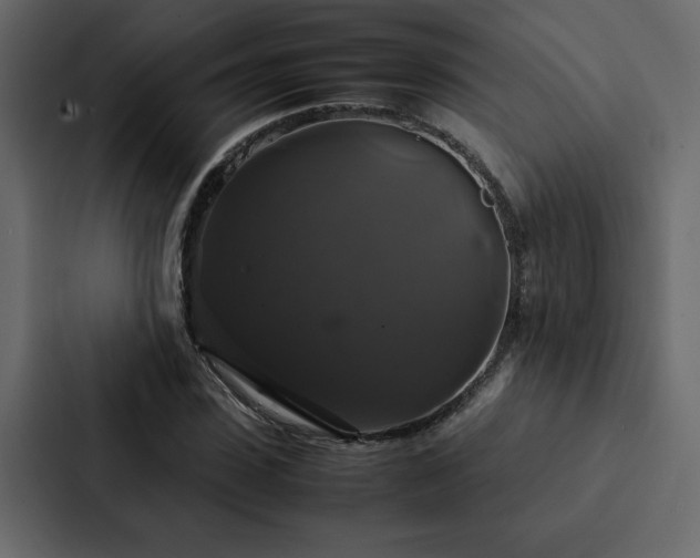 X0000088230923200705151450