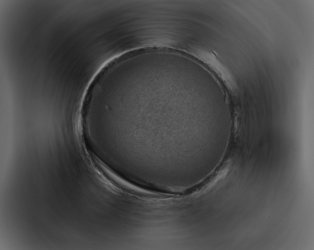 X0000088230924200705151450