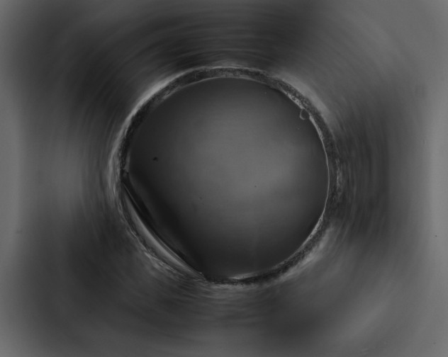 X0000088230925200705151450