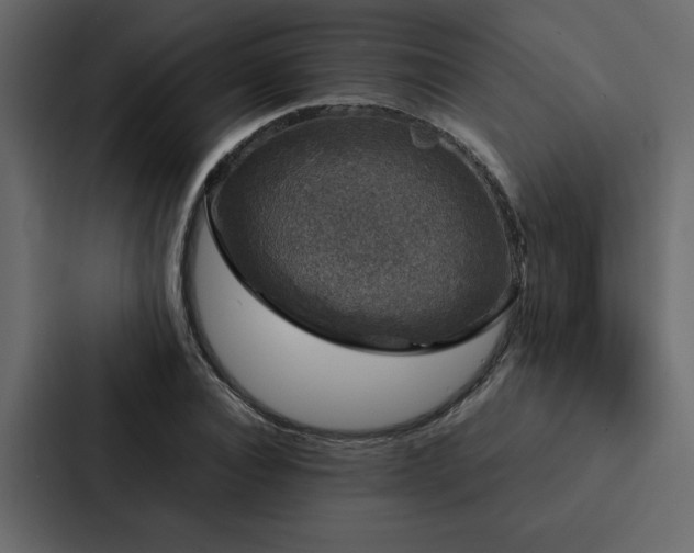 X0000088230928200705151450