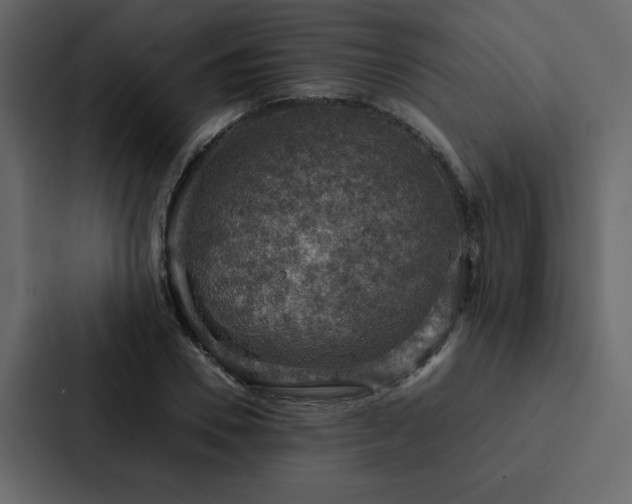 X0000088230930200705151450