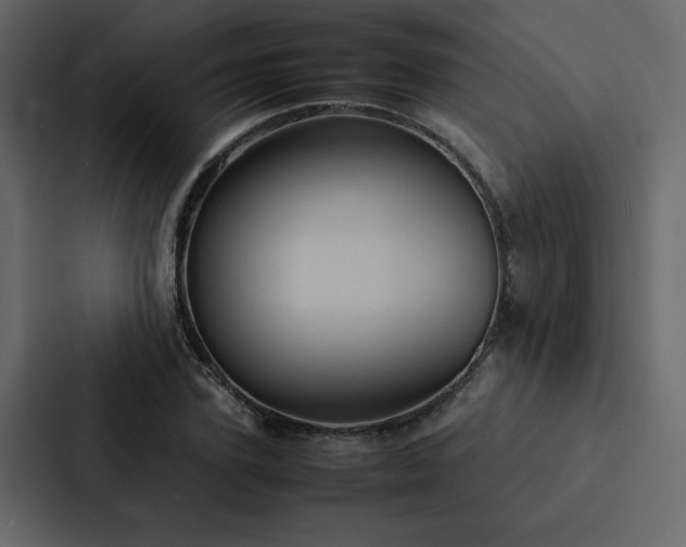 X0000088230931200705151450