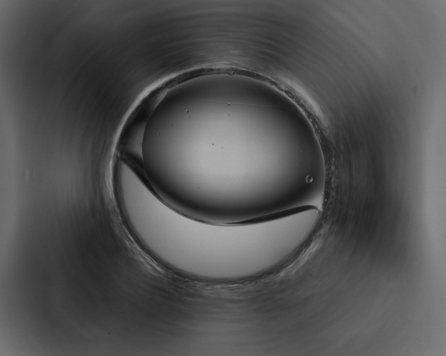 X0000088230932200705151450