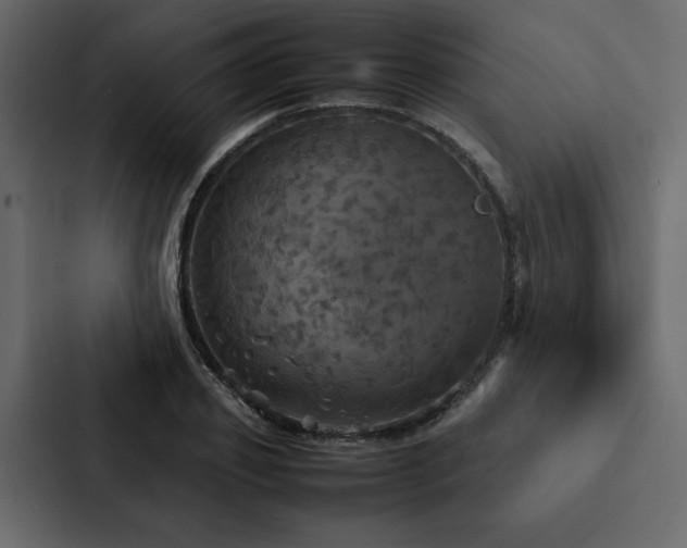 X0000088230933200705151450