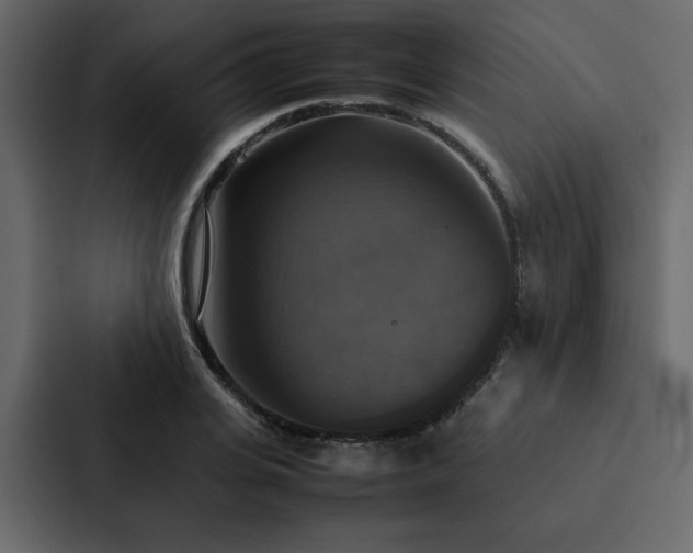 X0000088230935200705151450