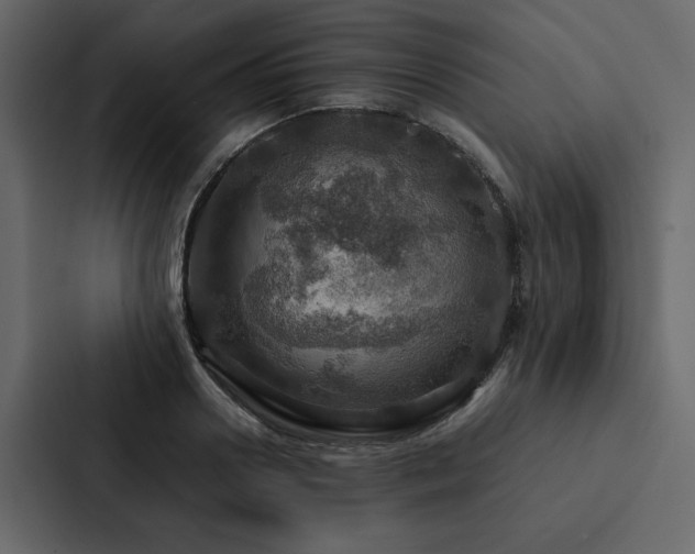 X0000088230938200705151450