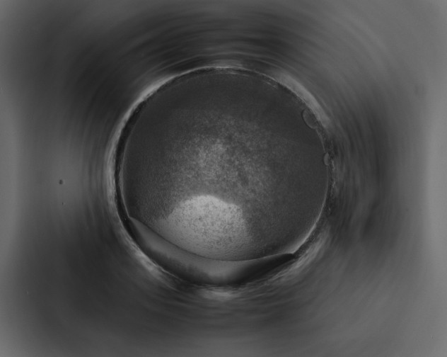 X0000088230939200705151450