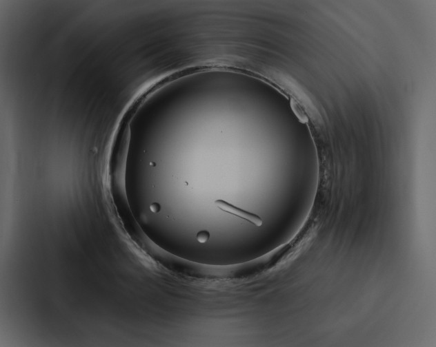 X0000088230940200705151450