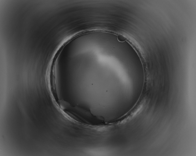 X0000088230941200705151450
