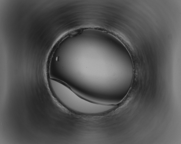 X0000088230942200705151450