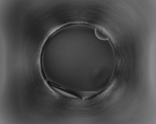 X0000088230943200705151450