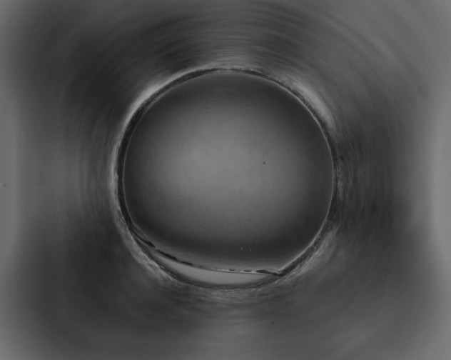 X0000088230944200705151450
