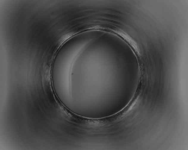 X0000088230945200705151450