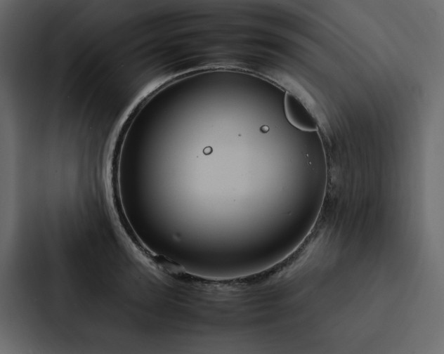 X0000088230947200705151450