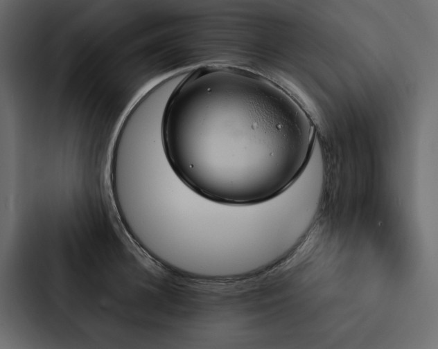 X0000088230948200705151450