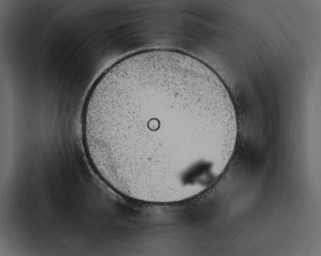 X0000088230950200705151450