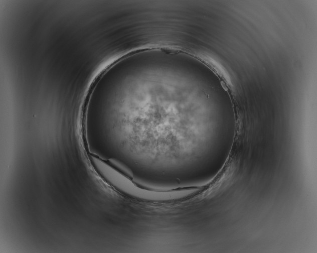 X0000088230952200705151450