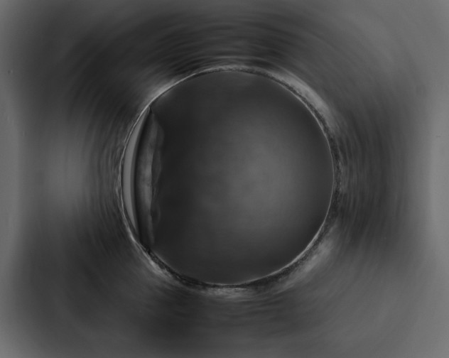 X0000088230953200705151450