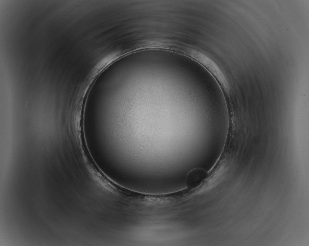 X0000088230954200705151450