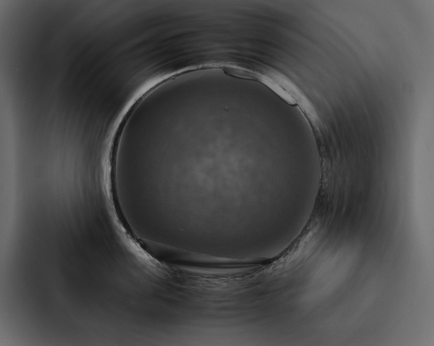 X0000088230955200705151450