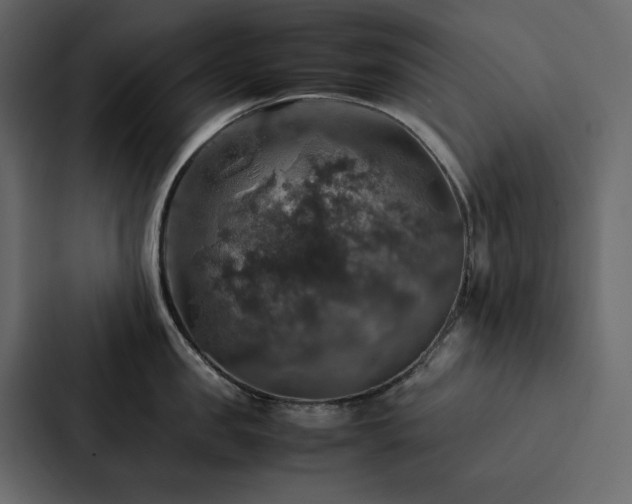 X0000088230957200705151450