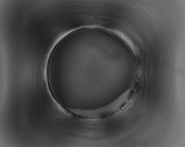 X0000088230959200705151450