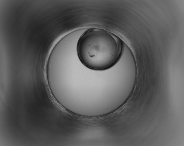 X0000088230960200705151450