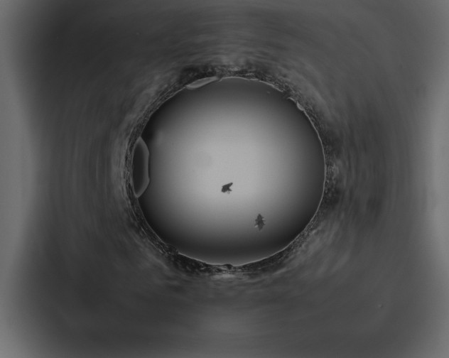 X0000088230961200705151449