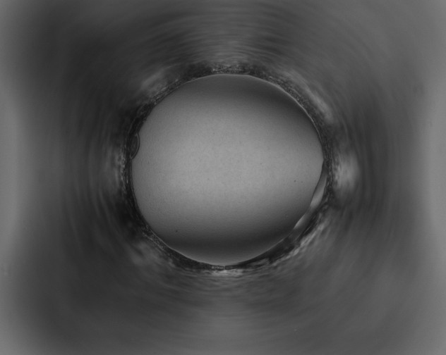 X0000088230964200705151449