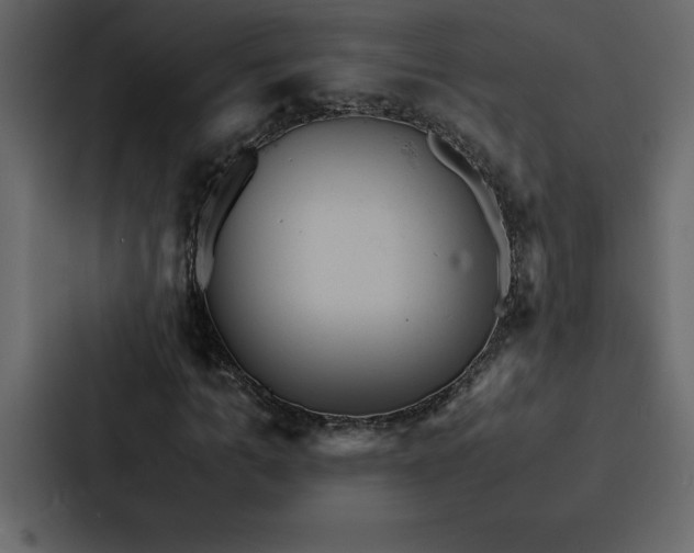 X0000088230965200705151449