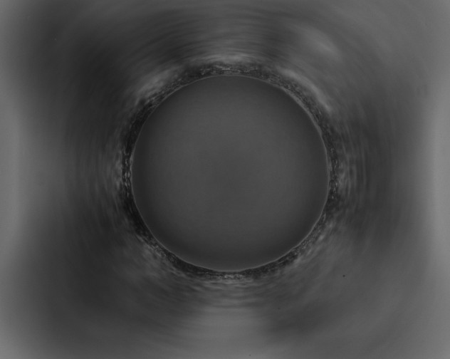 X0000088230966200705151449