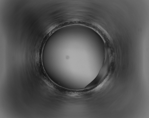 X0000088230969200705151449