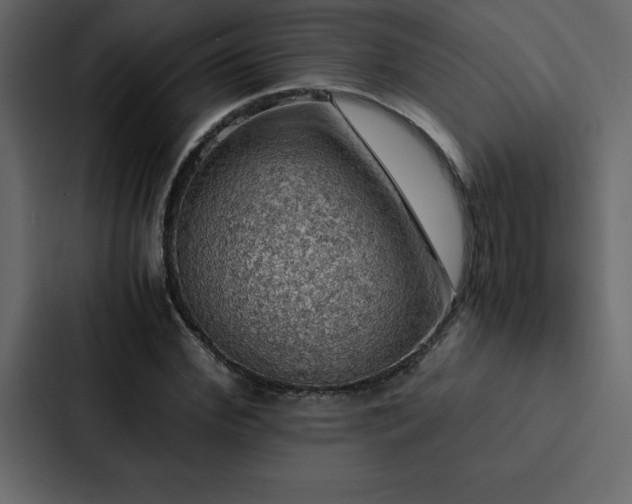 X0000088230972200705151449