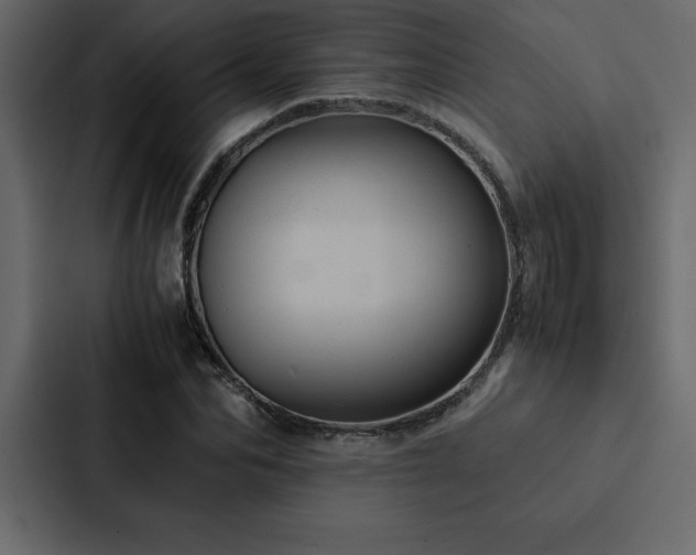 X0000088230974200705151449