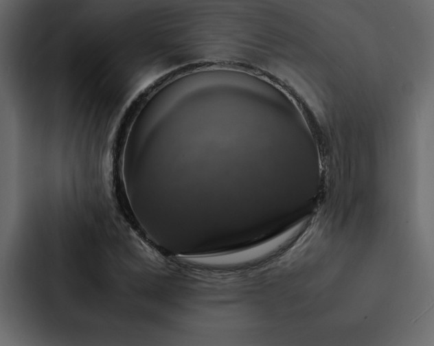 X0000088230975200705151449