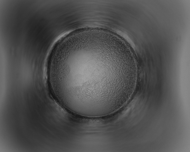X0000088230979200705151449