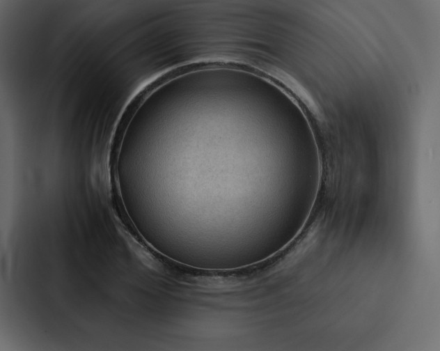 X0000088230980200705151449