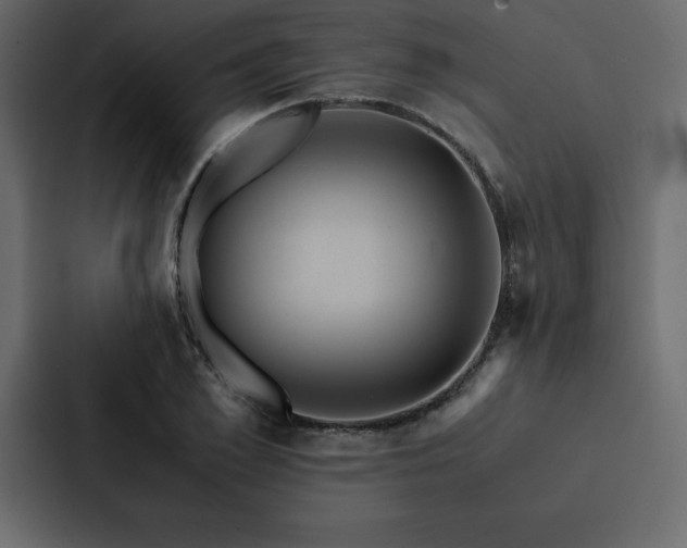 X0000088230981200705151449