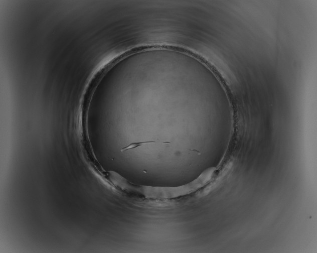 X0000088230982200705151449