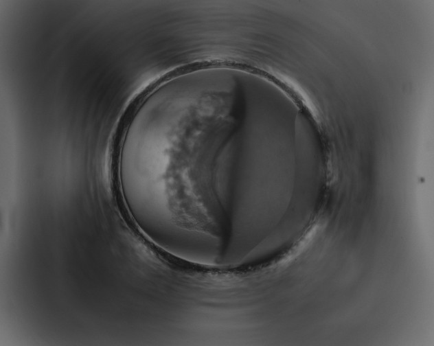 X0000088230983200705151449