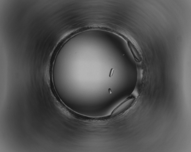 X0000088230984200705151449