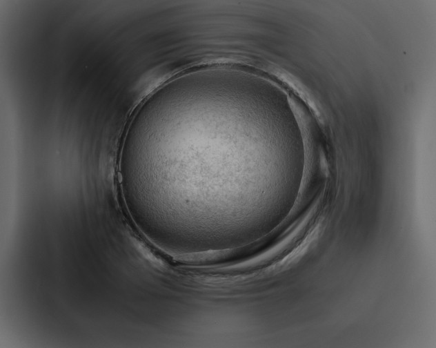 X0000088230985200705151449