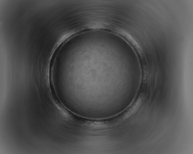 X0000088230986200705151449