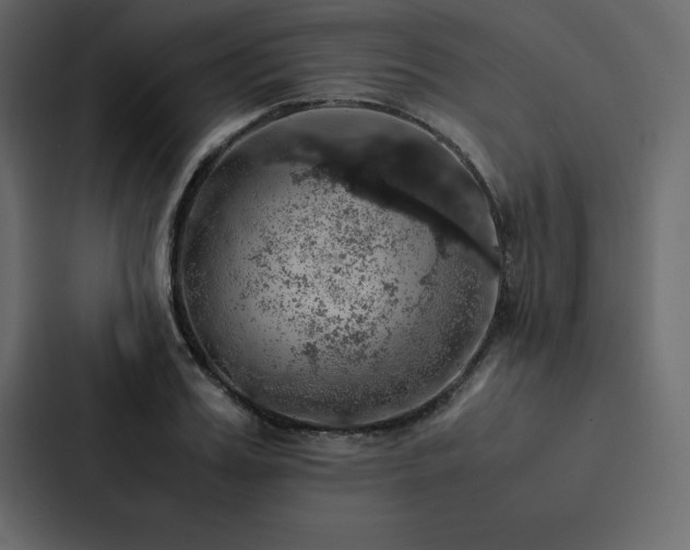X0000088230987200705151449