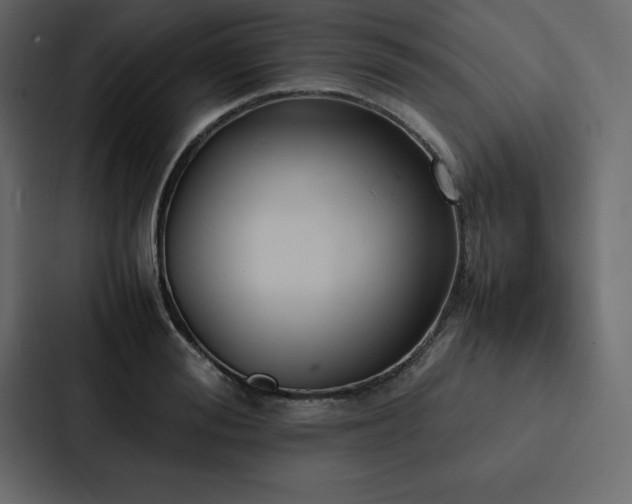 X0000088230988200705151449