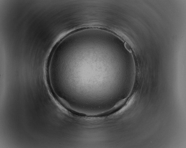 X0000088230989200705151449